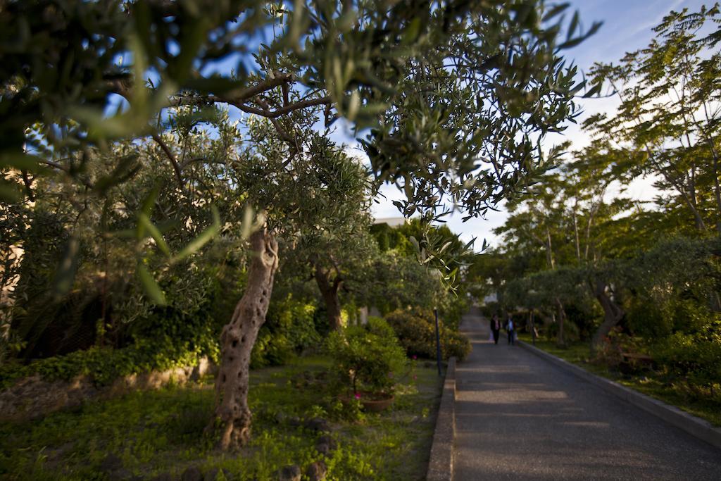 איסקיה Hotel Terme Alexander מראה חיצוני תמונה
